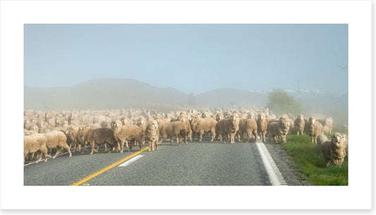 Monday morning gridlock