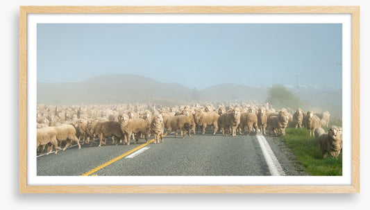Monday morning gridlock