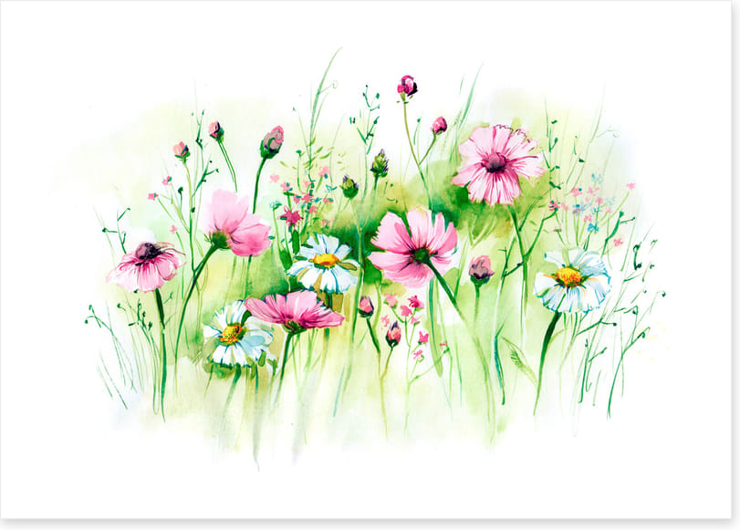 In the daisy grass