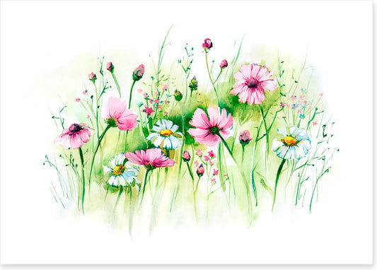 In the daisy grass