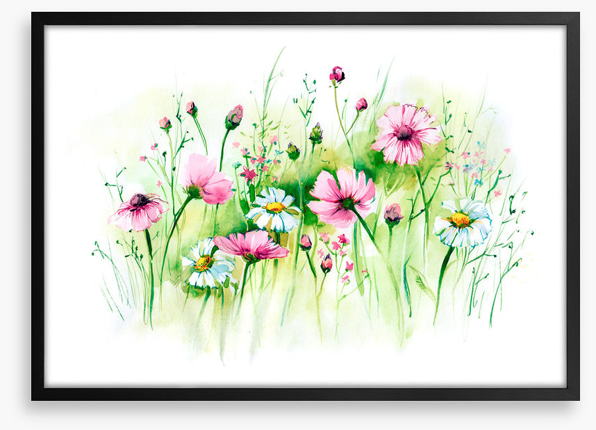 In the daisy grass