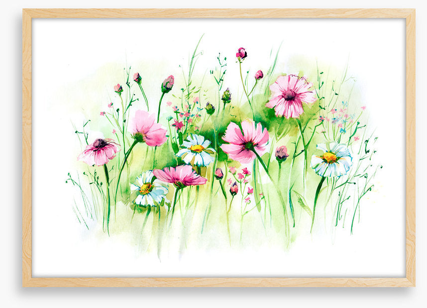 In the daisy grass