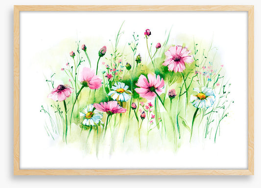 In the daisy grass