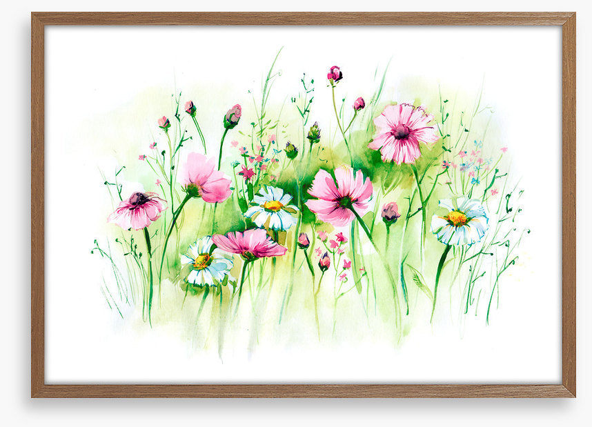 In the daisy grass