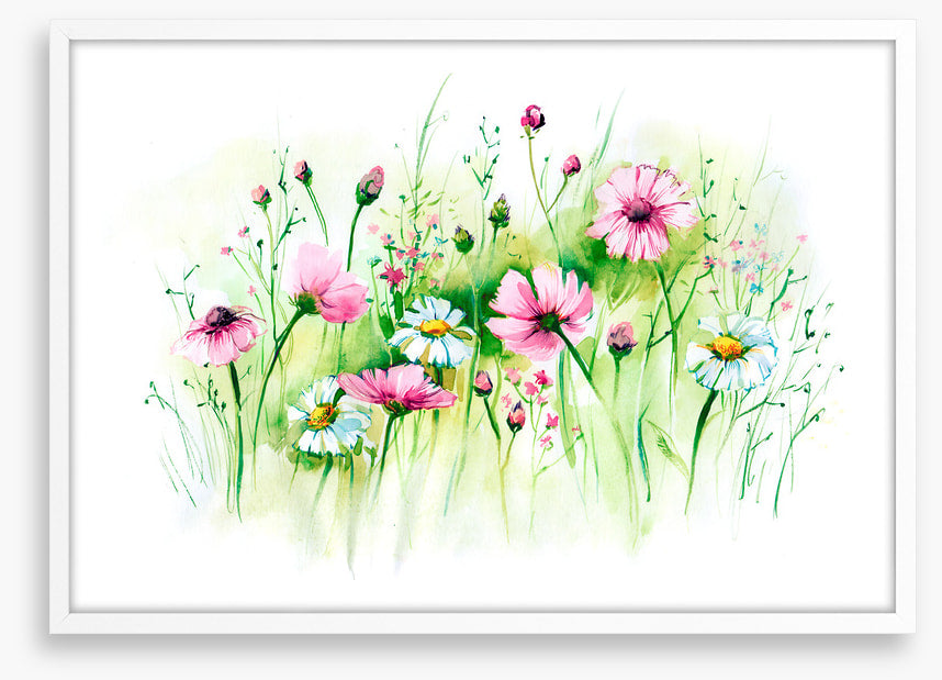 In the daisy grass
