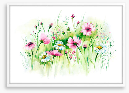In the daisy grass