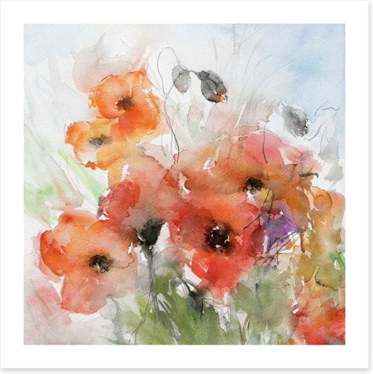 Watercolour poppies