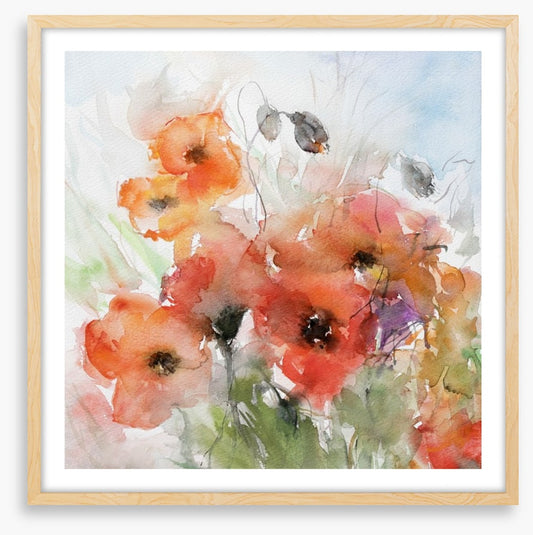 Watercolour poppies