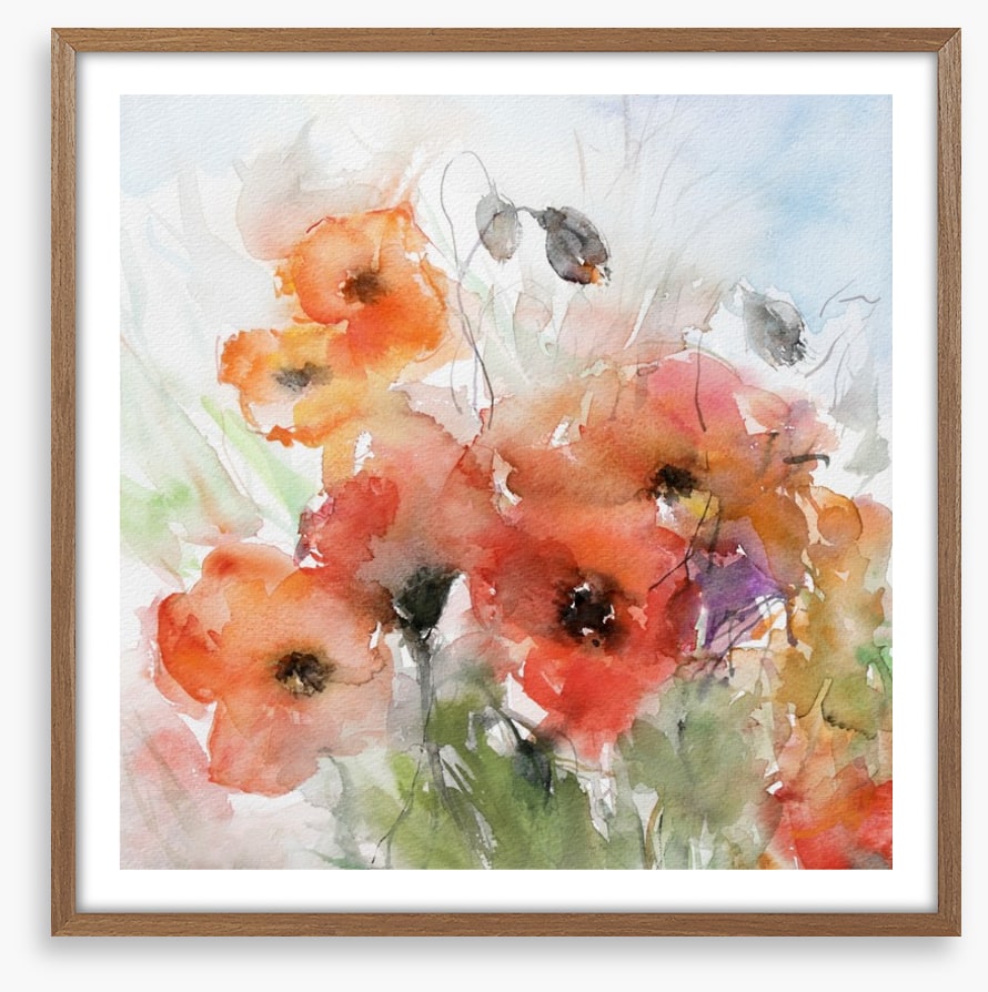 Watercolour poppies
