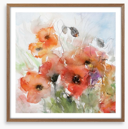 Watercolour poppies