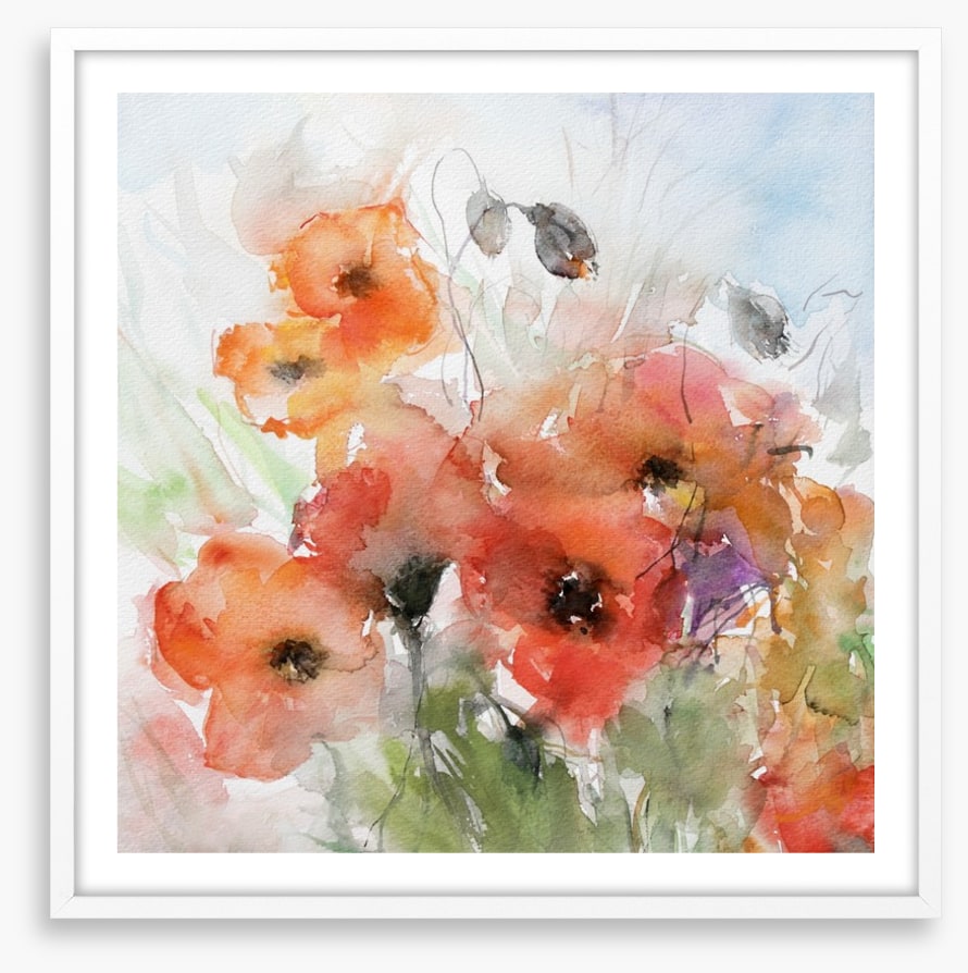 Watercolour poppies