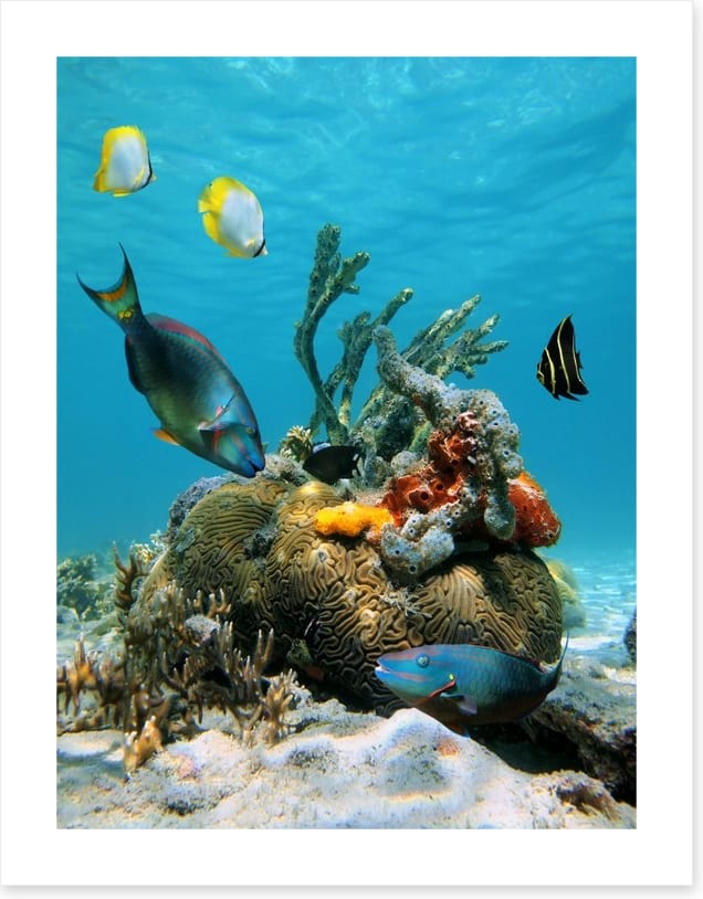Underwater