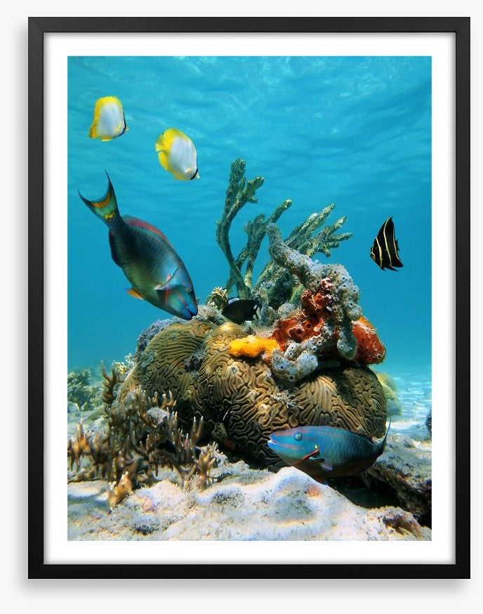 Underwater