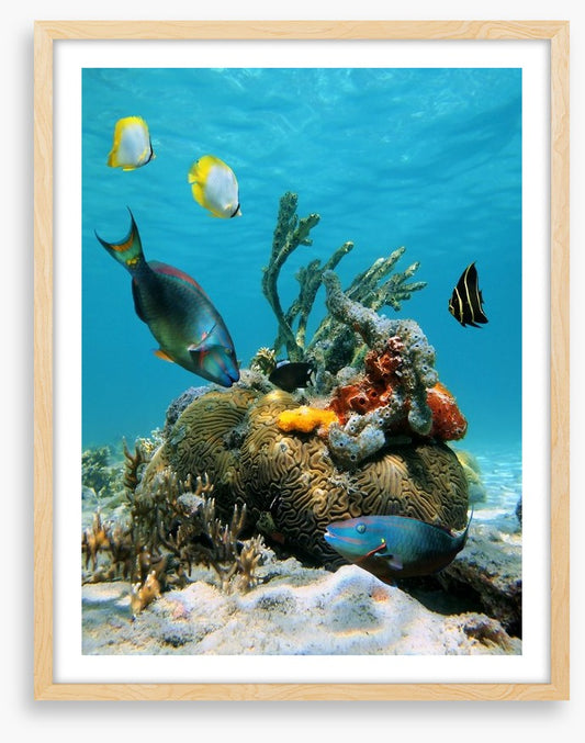 Underwater