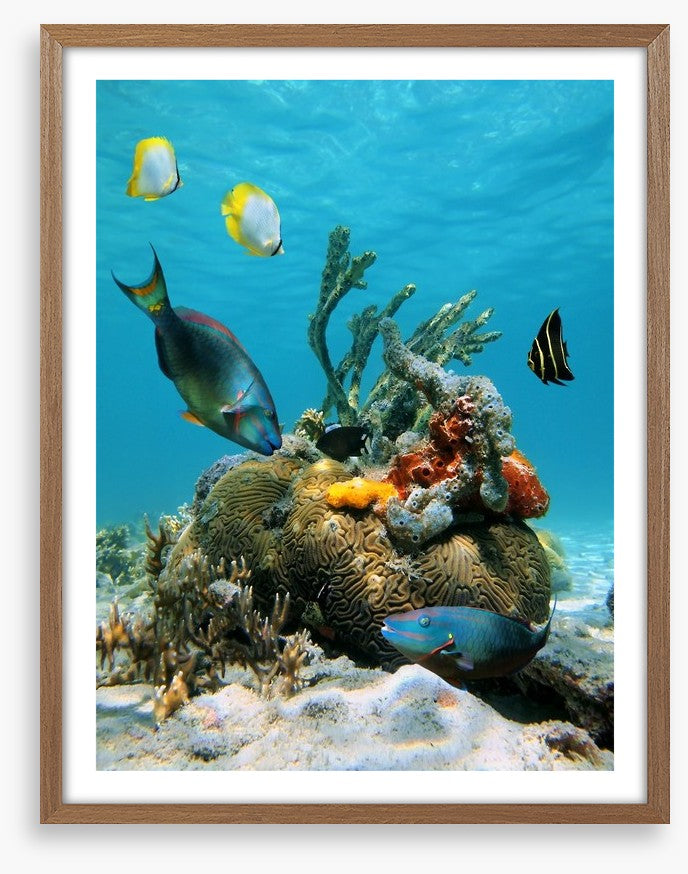 Underwater