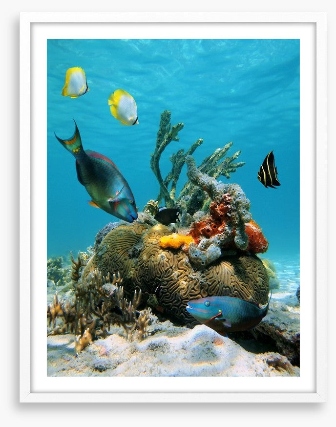 Underwater