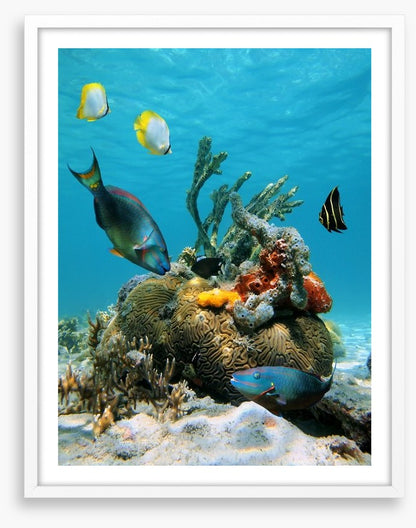 Underwater