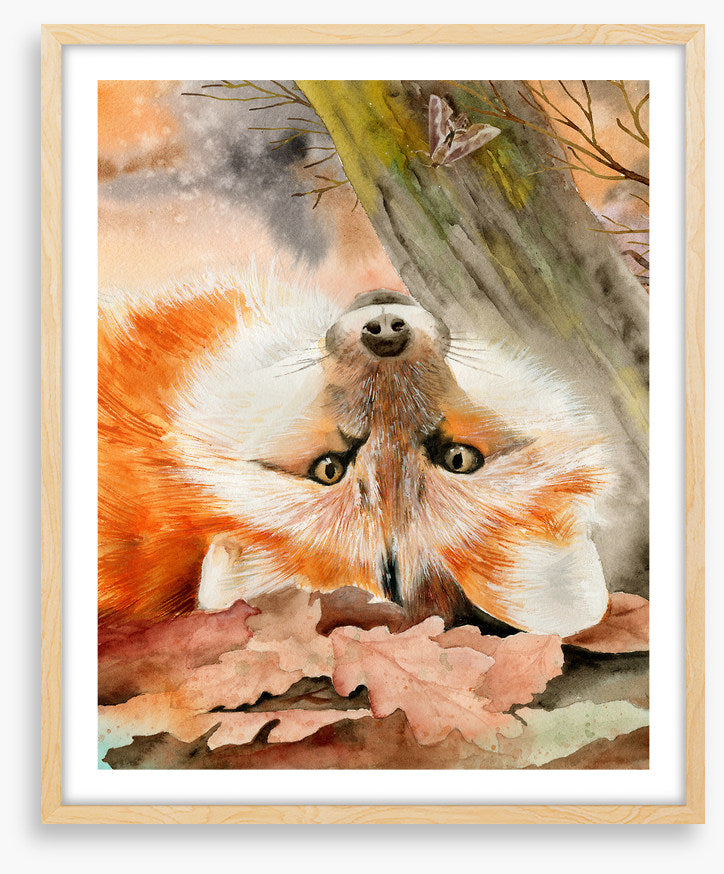 Foxy fall