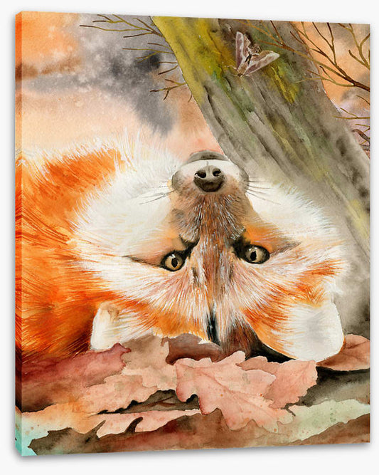 Foxy fall