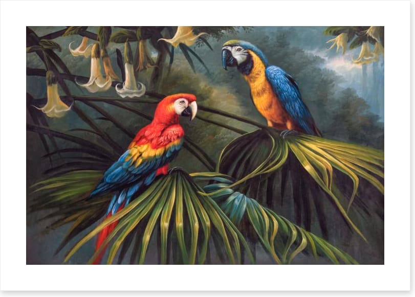 Jungle dream parrots