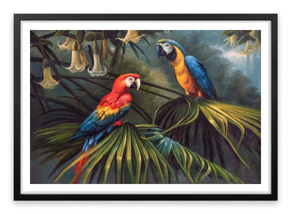 Jungle dream parrots