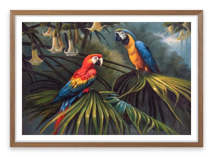 Jungle dream parrots