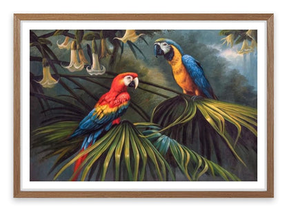 Jungle dream parrots
