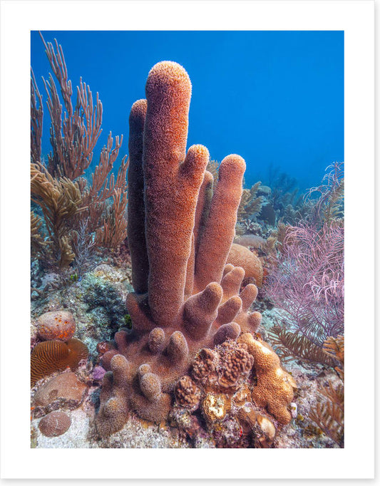 Underwater