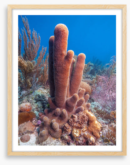 Underwater