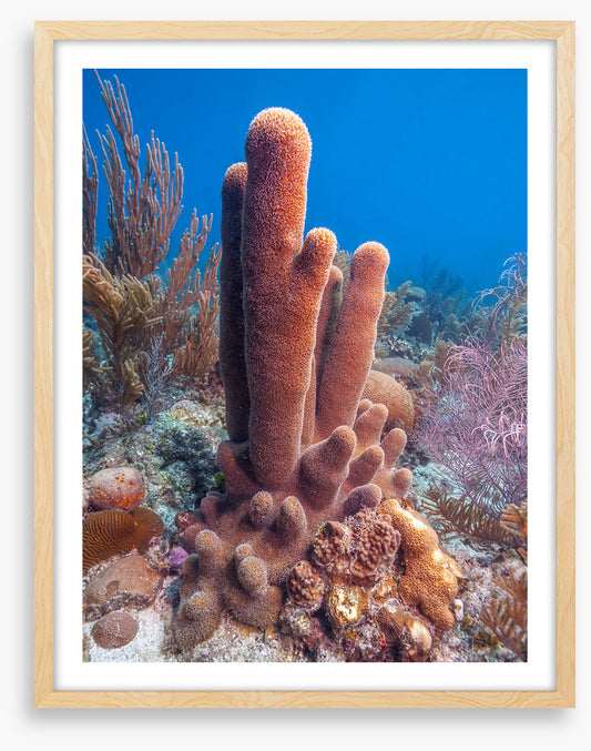 Underwater