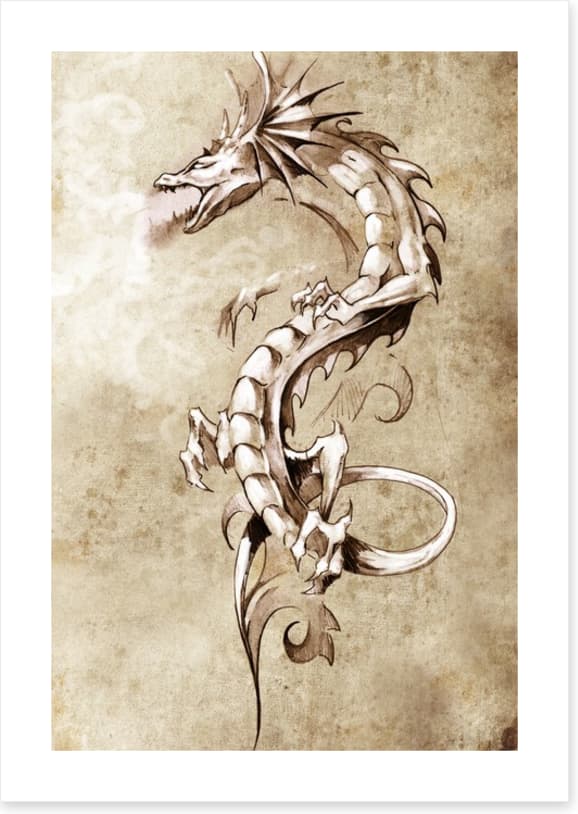 Dragons
