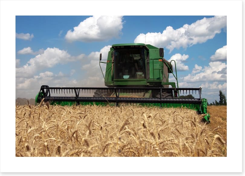 Agriculture