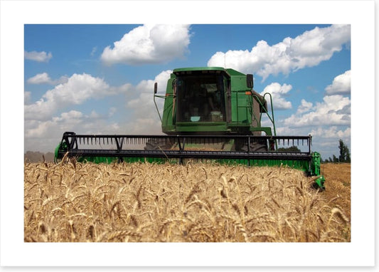 Agriculture