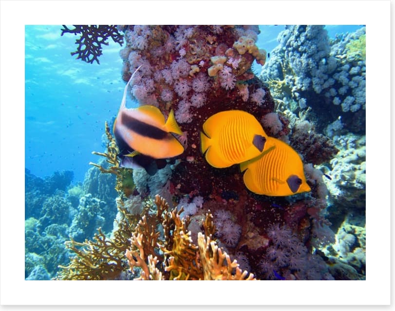 Underwater