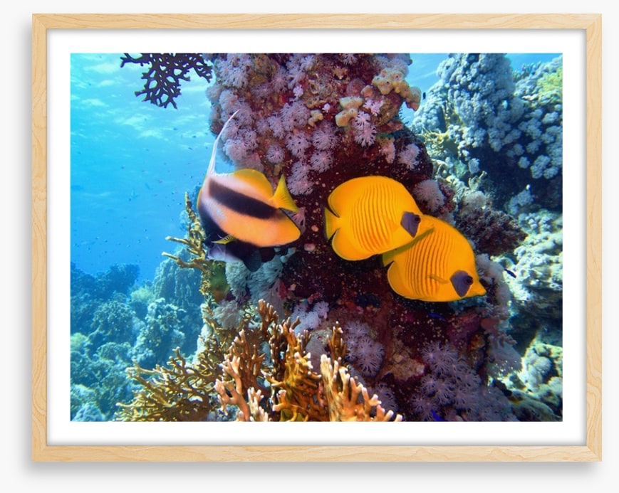 Underwater