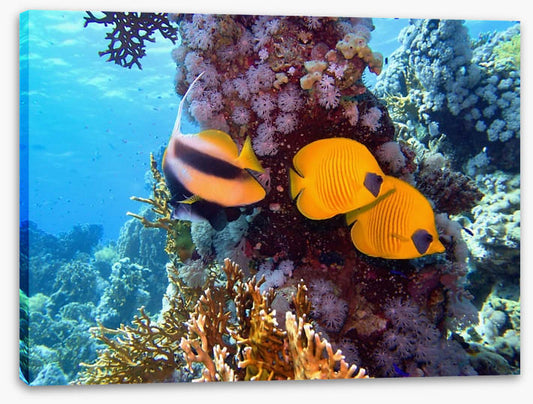 Underwater
