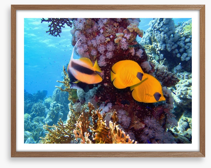 Underwater