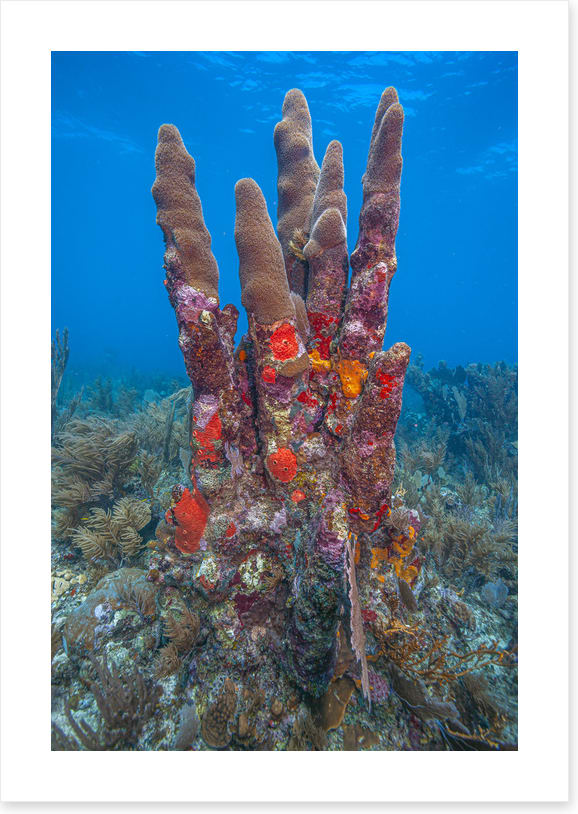 Underwater