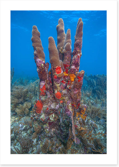 Underwater