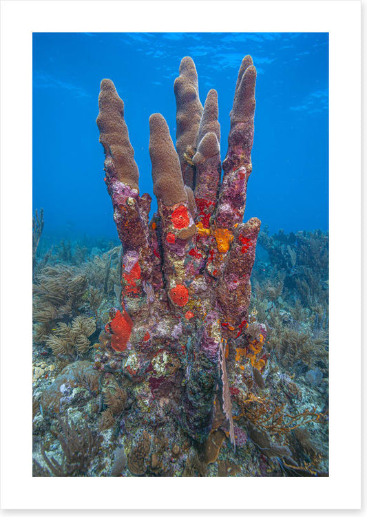 Underwater