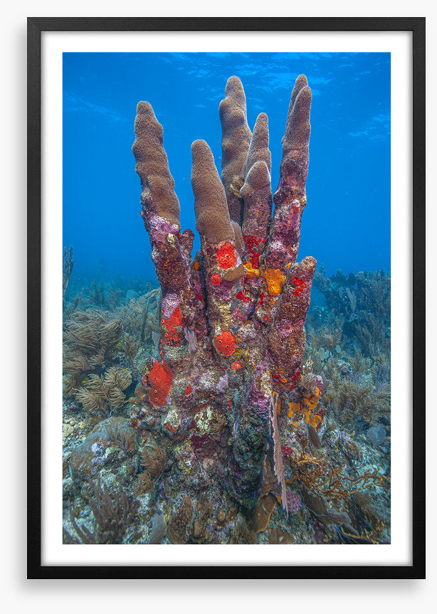 Underwater