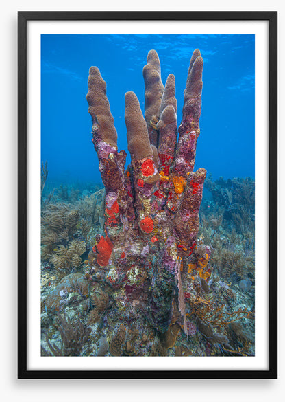 Underwater