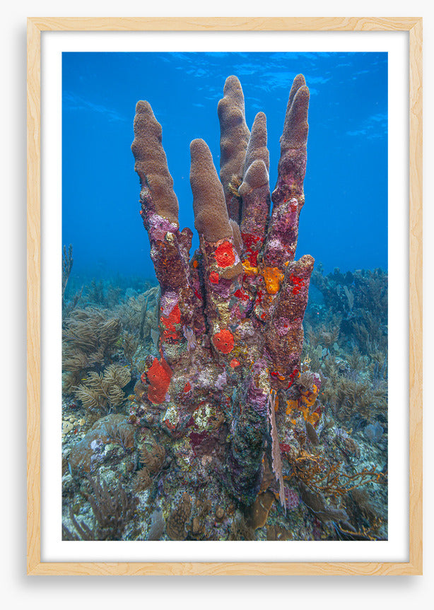 Underwater