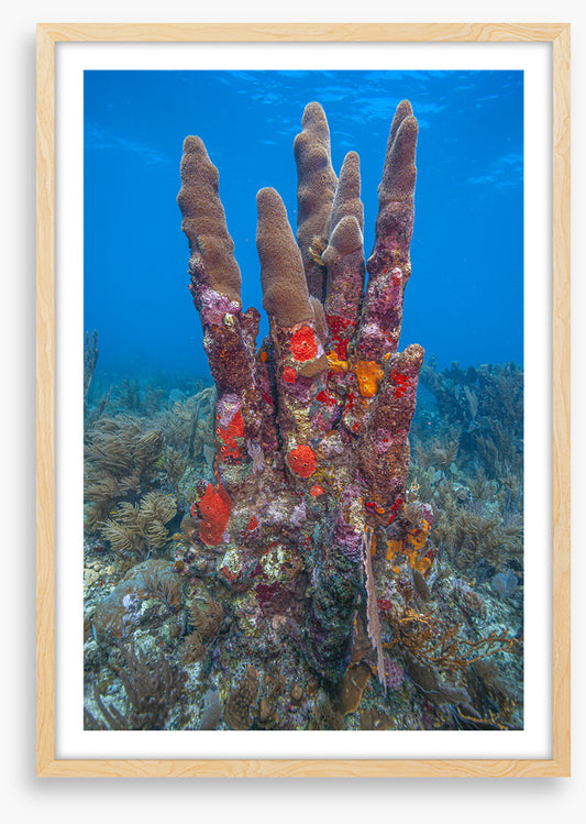 Underwater
