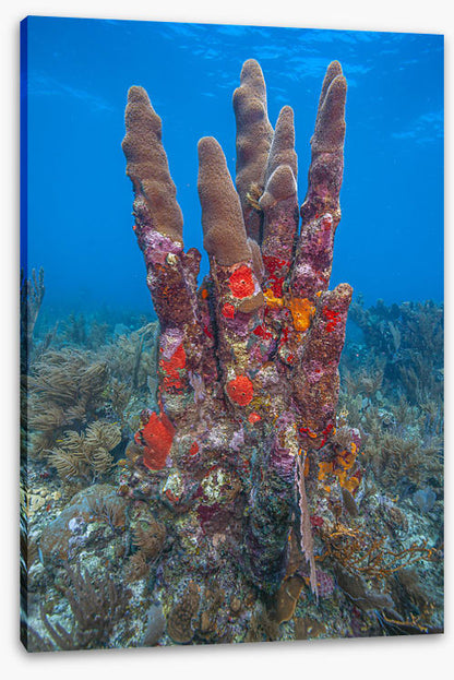 Underwater
