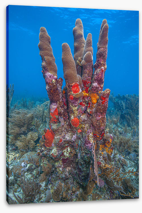 Underwater