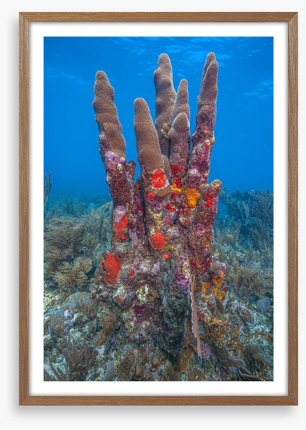 Underwater