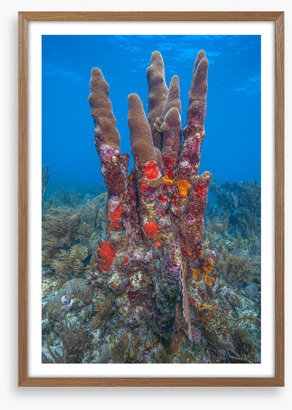 Underwater