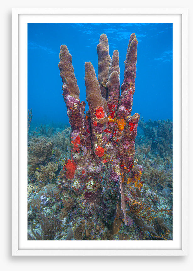Underwater