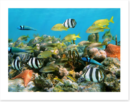 Underwater